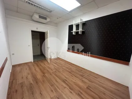 Офис, Ботаника, ДЕЧЕБАЛ