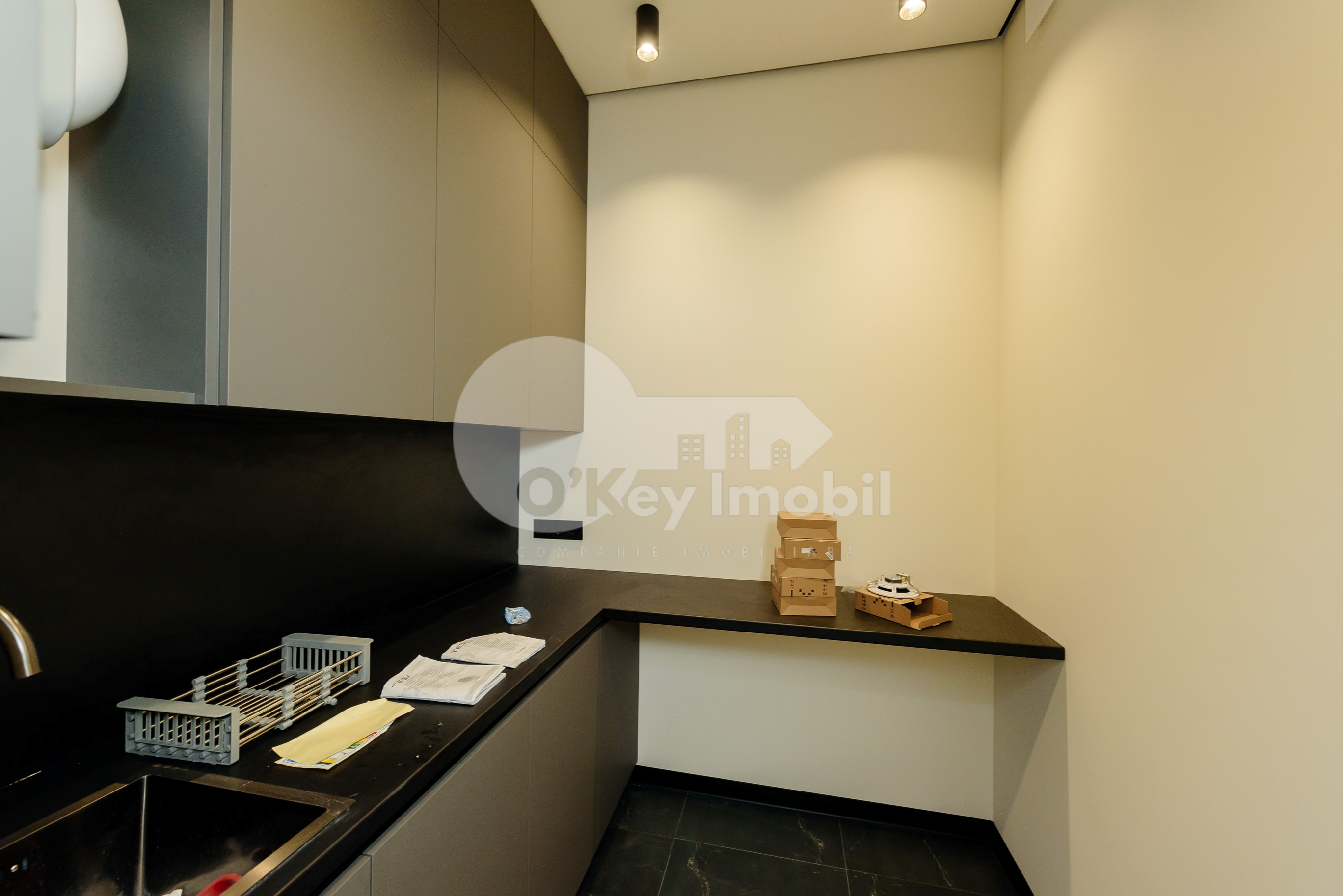 Oficiu, Buiucani, GHENADIE IABLOCIKIN