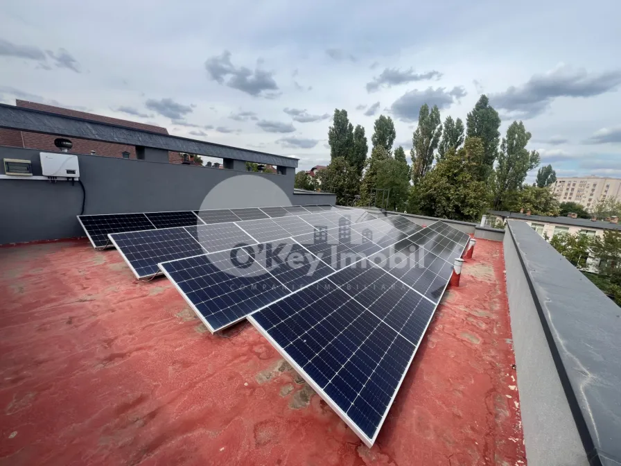 Дуплекс, Ботаника, ЧЕТАТЯ КИЛИЯ