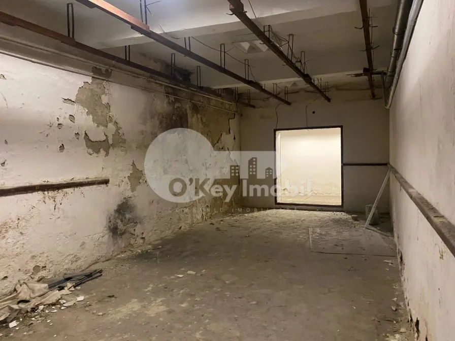 Комм. помещение, Центр, ШТЕФАН ЧЕЛ МАРЕ