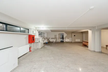 Комм. помещение, Центр, МИХАЙ ЕМИНЕСКУ