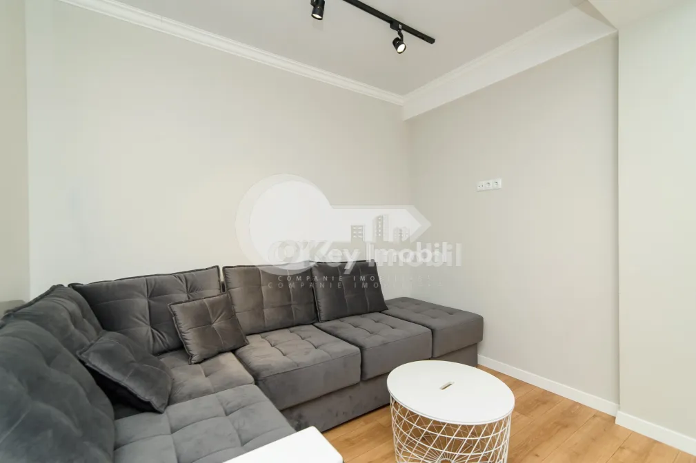 Квартира, Ботаника, ТРАНДАФИРИЛОР