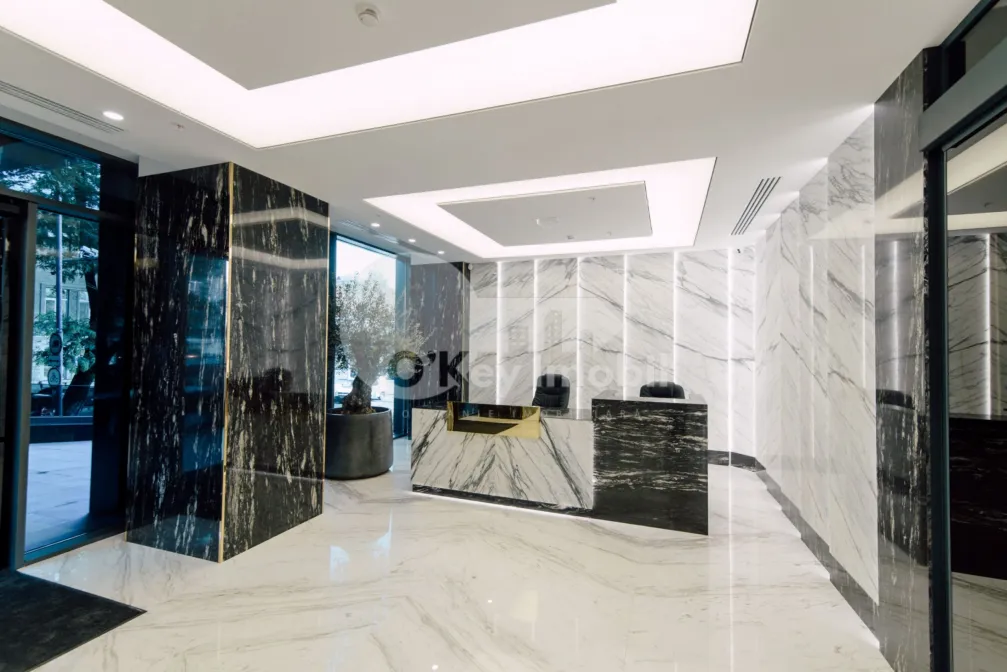 Офис, Центр, ШТЕФАН ЧЕЛ МАРЕ