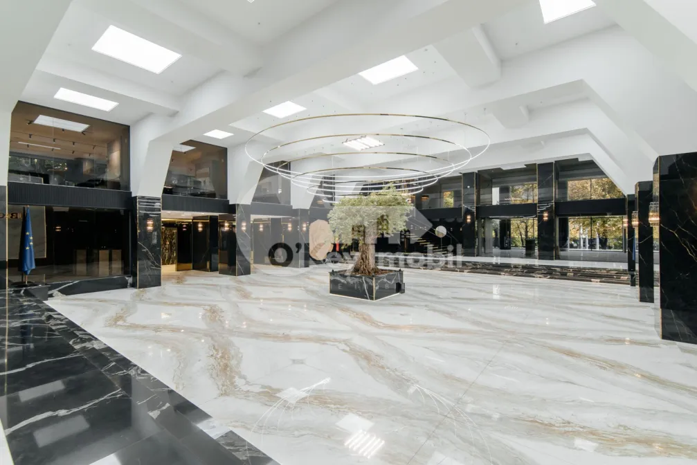 Офис, Центр, ШТЕФАН ЧЕЛ МАРЕ