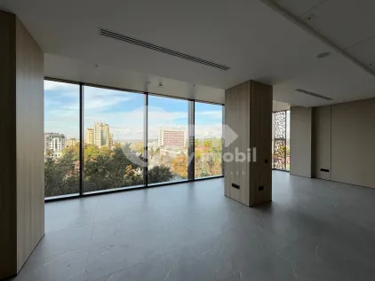 Офис, Центр, ШТЕФАН ЧЕЛ МАРЕ