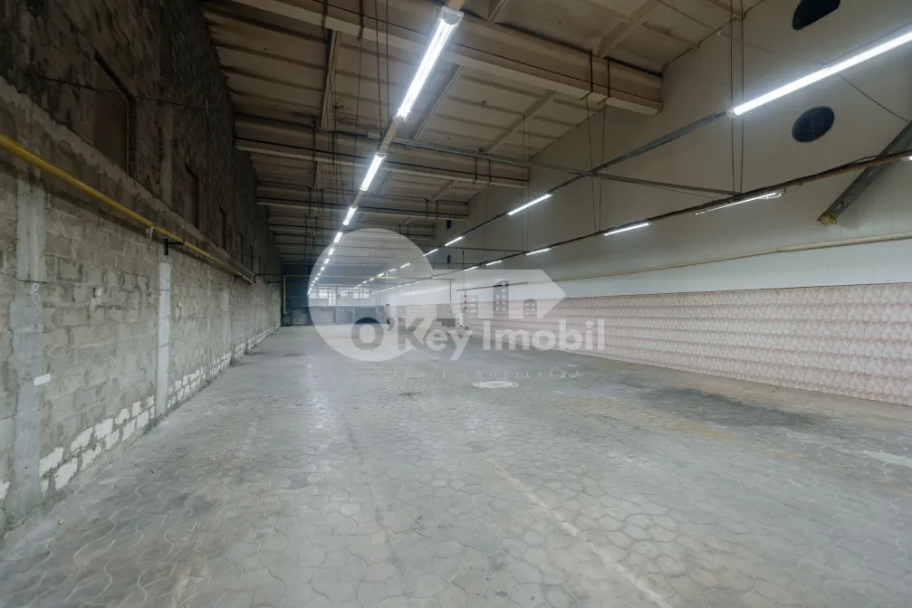 Склад, Чеканы, ВОЛУНТАРИЛОР