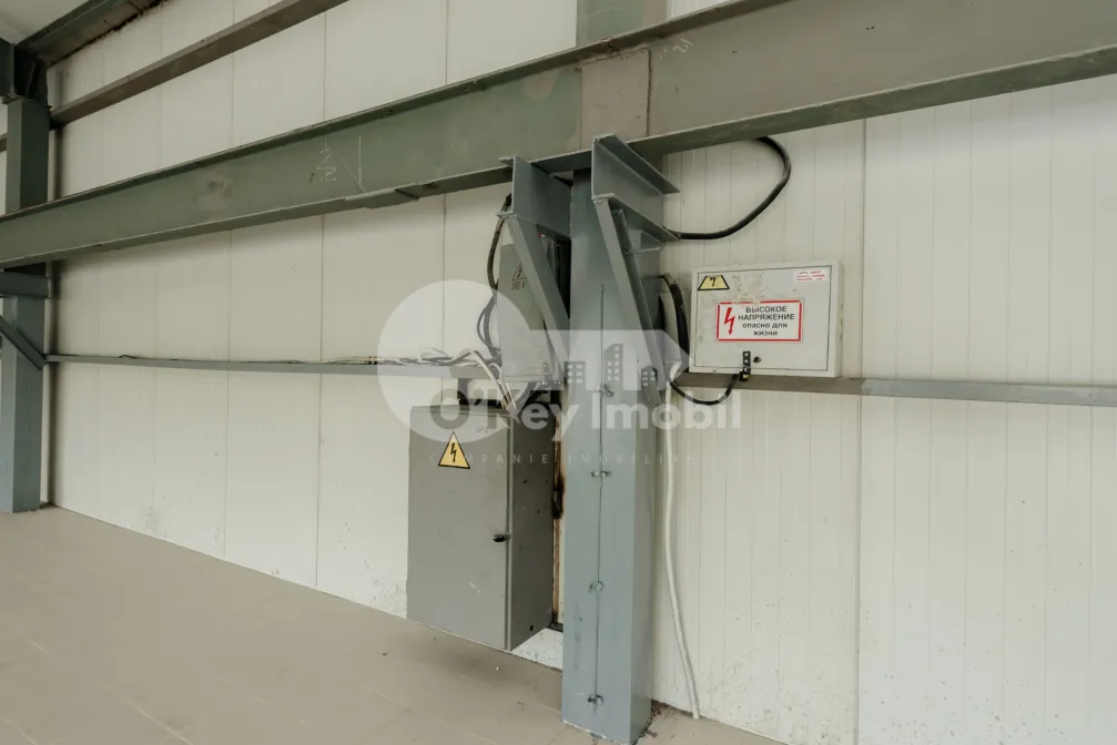 Склад, Чеканы, ВОЛУНТАРИЛОР