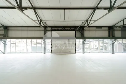 Склад, Чеканы, ВОЛУНТАРИЛОР