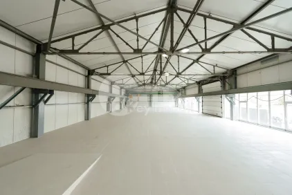 Склад, Чеканы, ВОЛУНТАРИЛОР