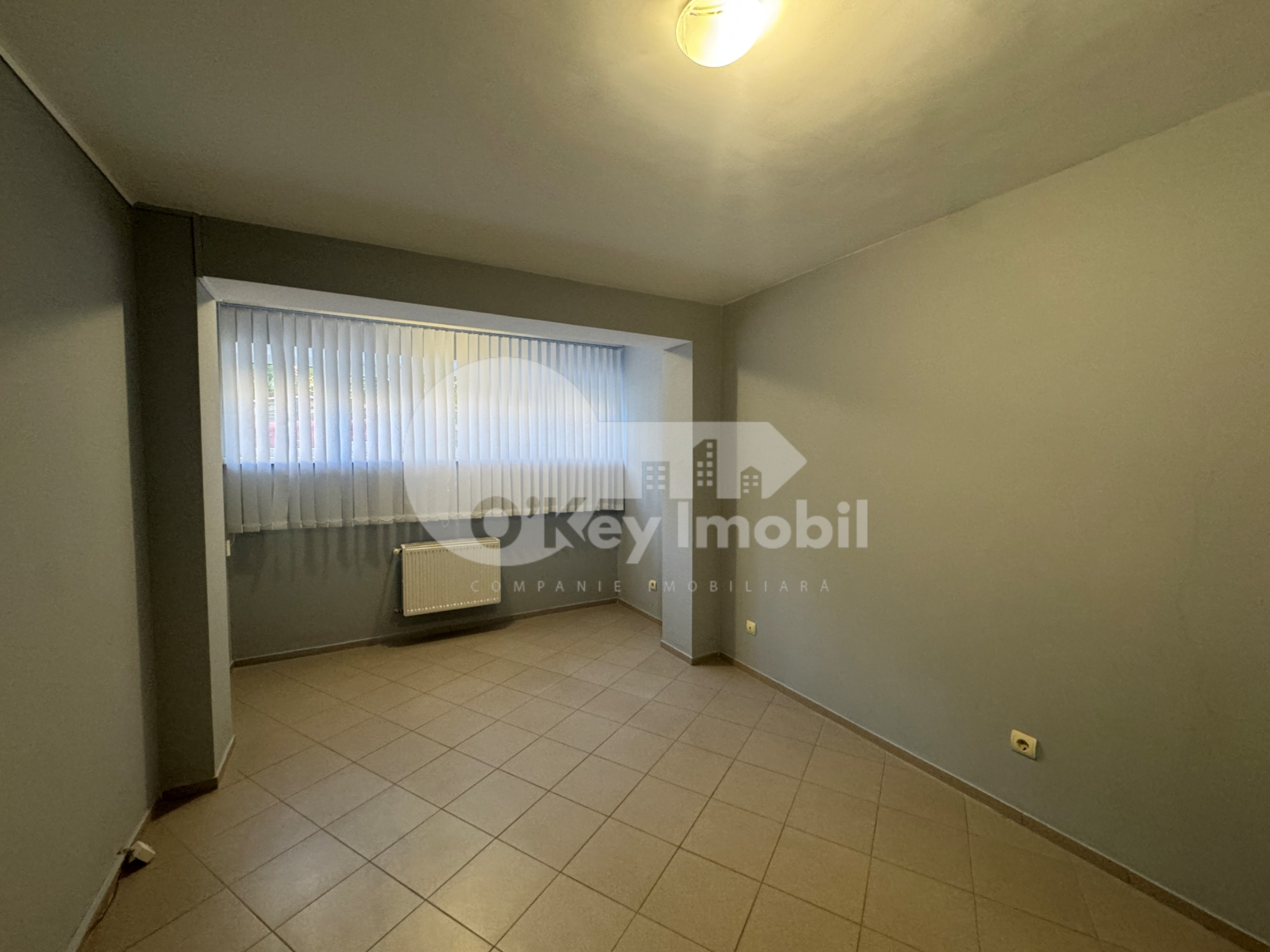 Spațiu comercial, Botanica, BUREBISTA