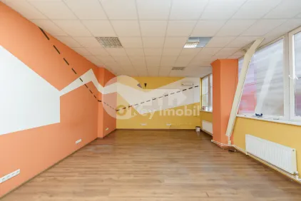 Офис, Ботаника, НИКОЛАЙ ЗЕЛИНСКИЙ