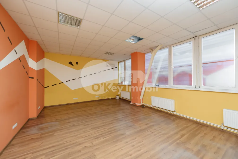 Офис, Ботаника, НИКОЛАЙ ЗЕЛИНСКИЙ