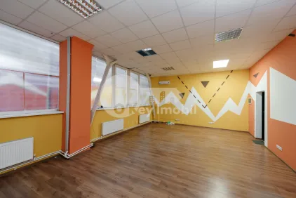 Офис, Ботаника, НИКОЛАЙ ЗЕЛИНСКИЙ