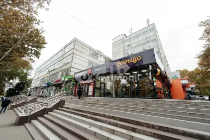 Офис, Ботаника, НИКОЛАЙ ЗЕЛИНСКИЙ