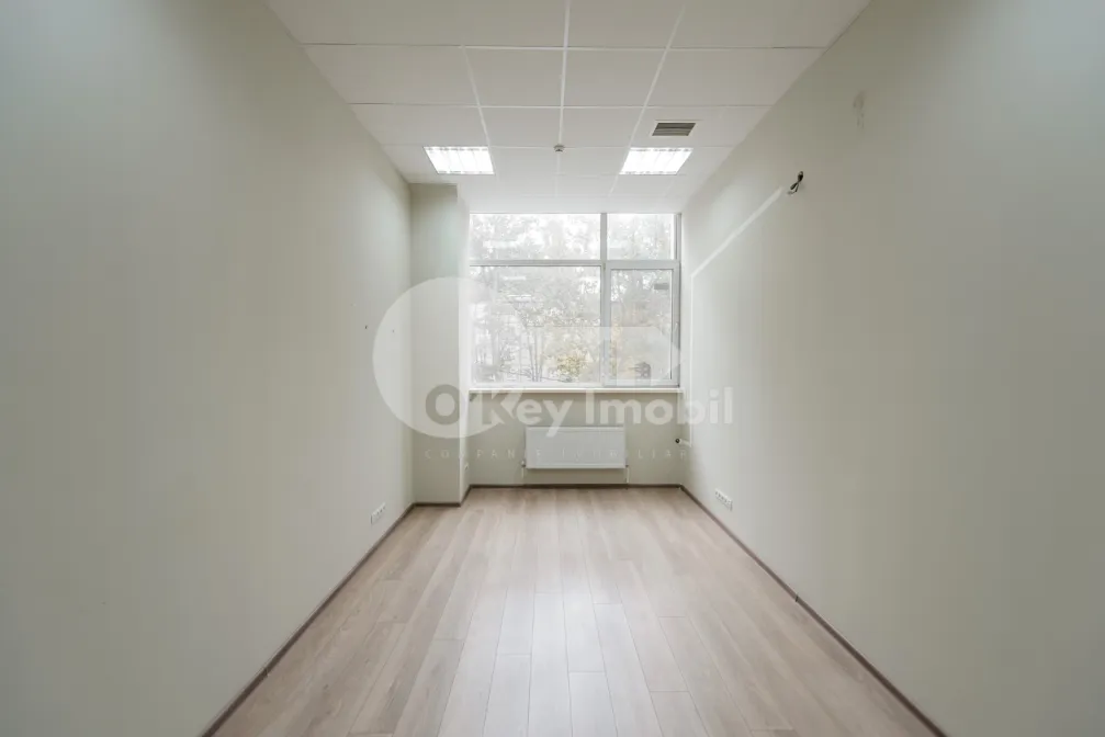 Офис, Ботаника, НИКОЛАЙ ЗЕЛИНСКИЙ