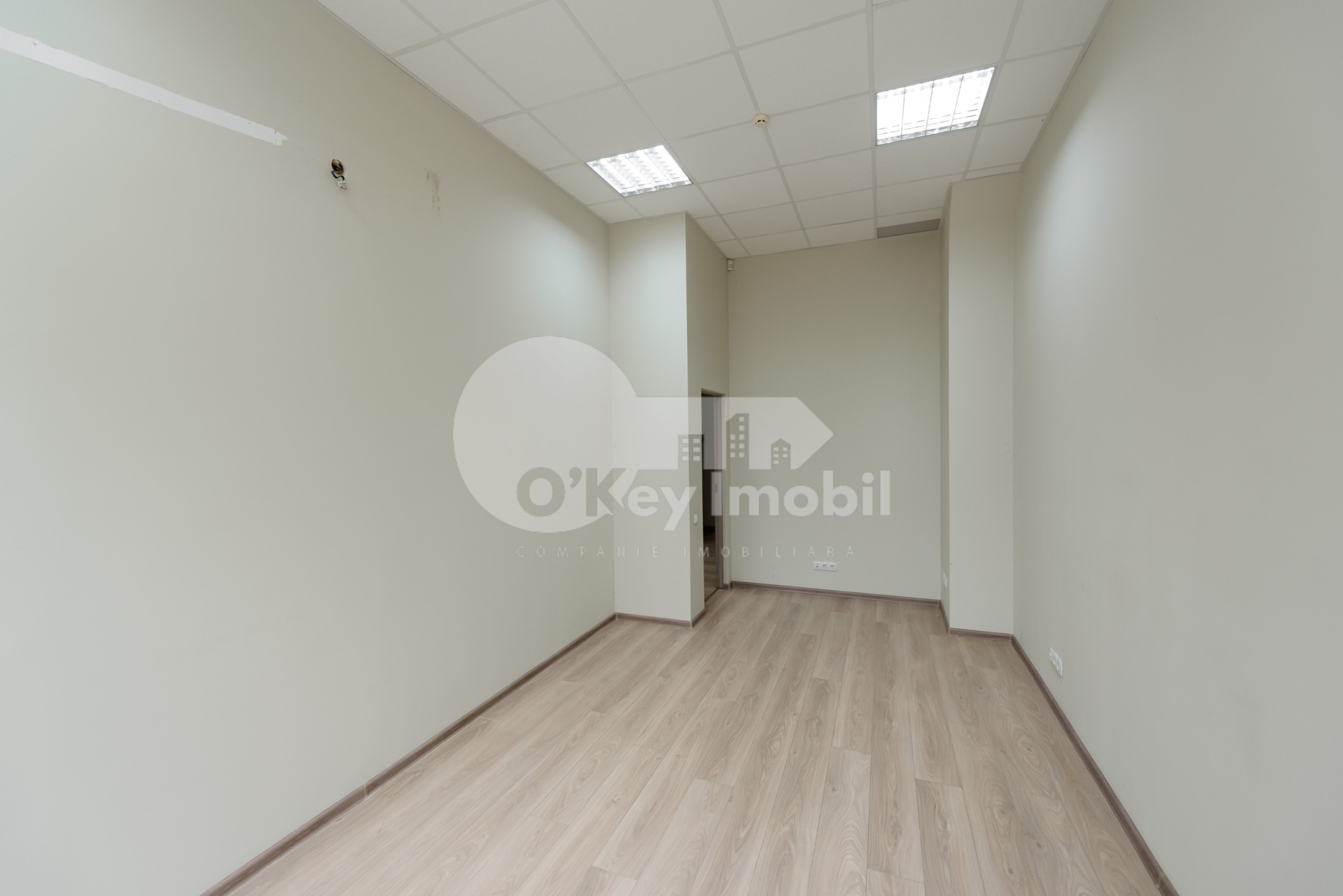 Oficiu, Botanica, NIKOLAI ZELINSKI