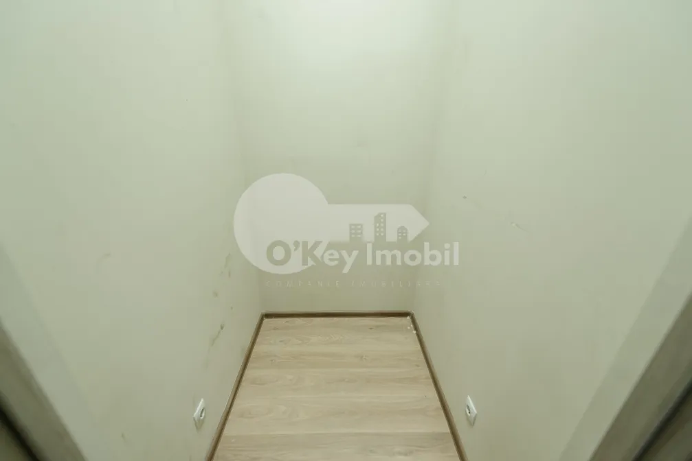 Офис, Ботаника, НИКОЛАЙ ЗЕЛИНСКИЙ