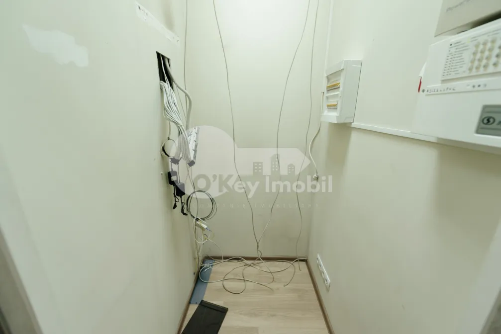 Офис, Ботаника, НИКОЛАЙ ЗЕЛИНСКИЙ