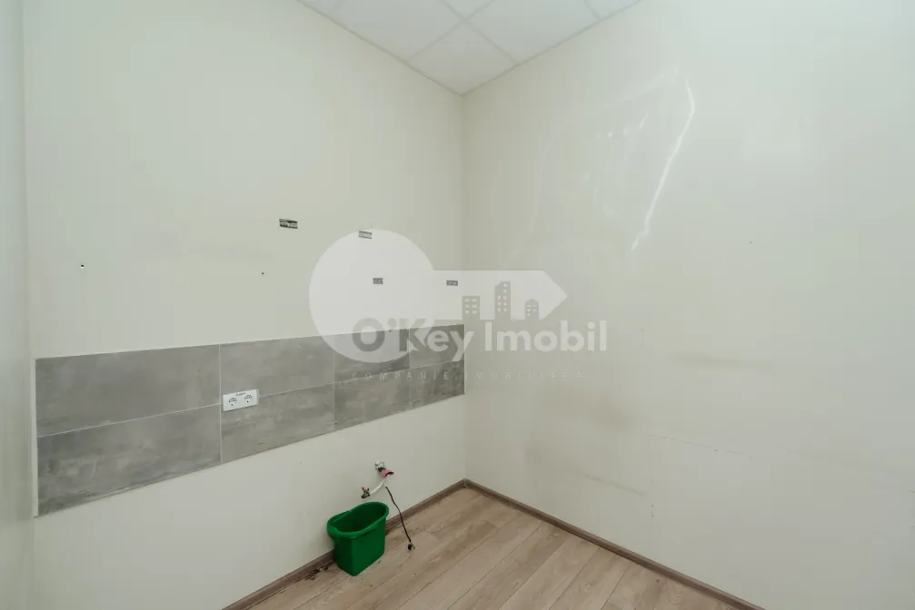 Офис, Ботаника, НИКОЛАЙ ЗЕЛИНСКИЙ