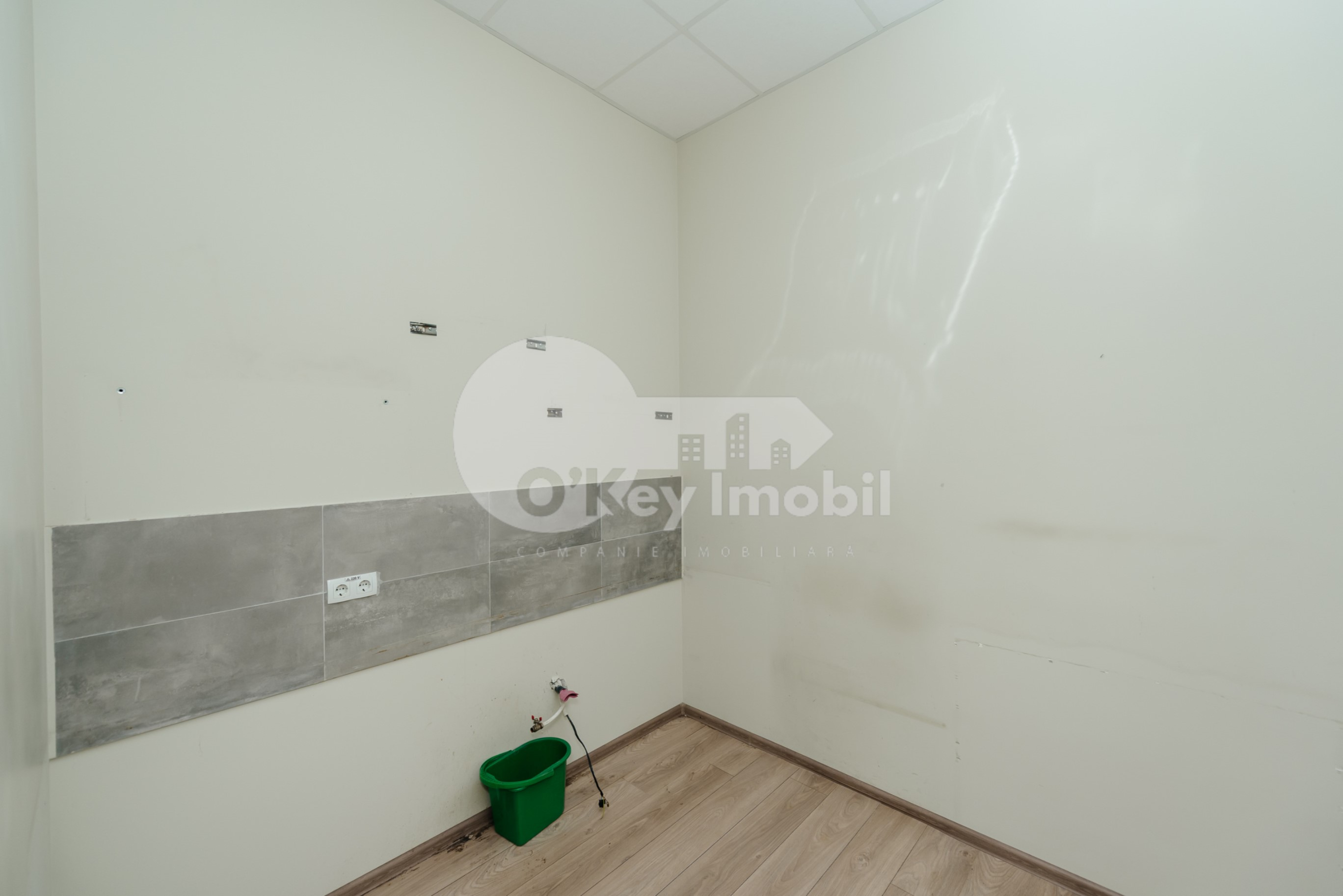 Oficiu, Botanica, NIKOLAI ZELINSKI