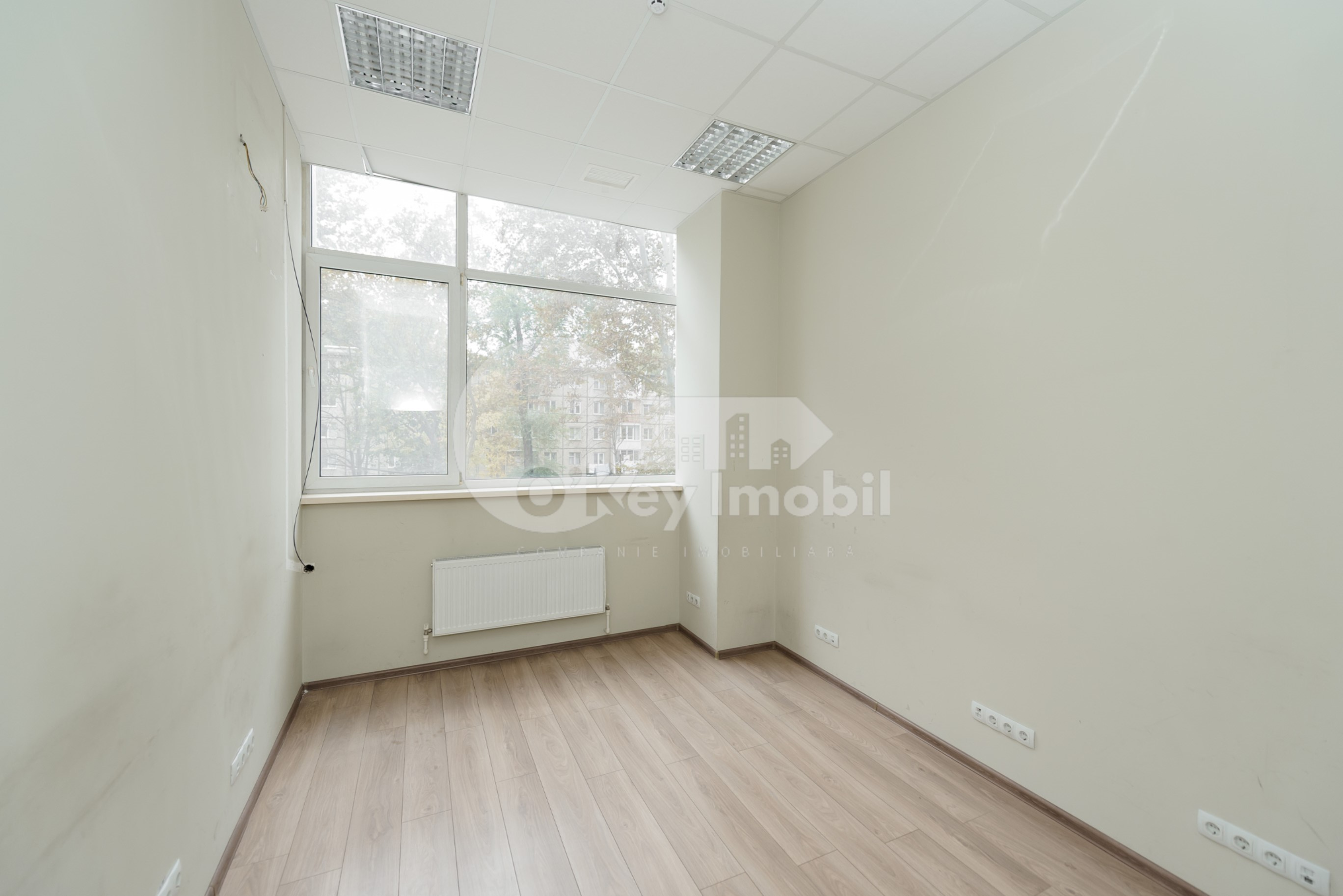 Oficiu, Botanica, NIKOLAI ZELINSKI