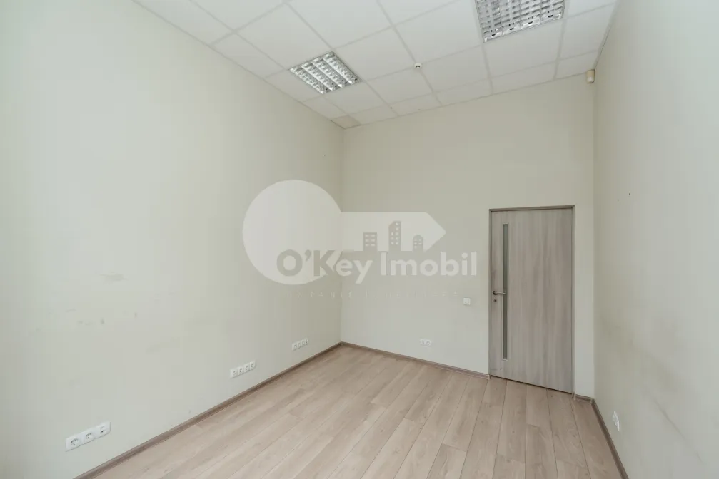 Офис, Ботаника, НИКОЛАЙ ЗЕЛИНСКИЙ