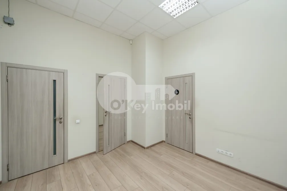 Офис, Ботаника, НИКОЛАЙ ЗЕЛИНСКИЙ