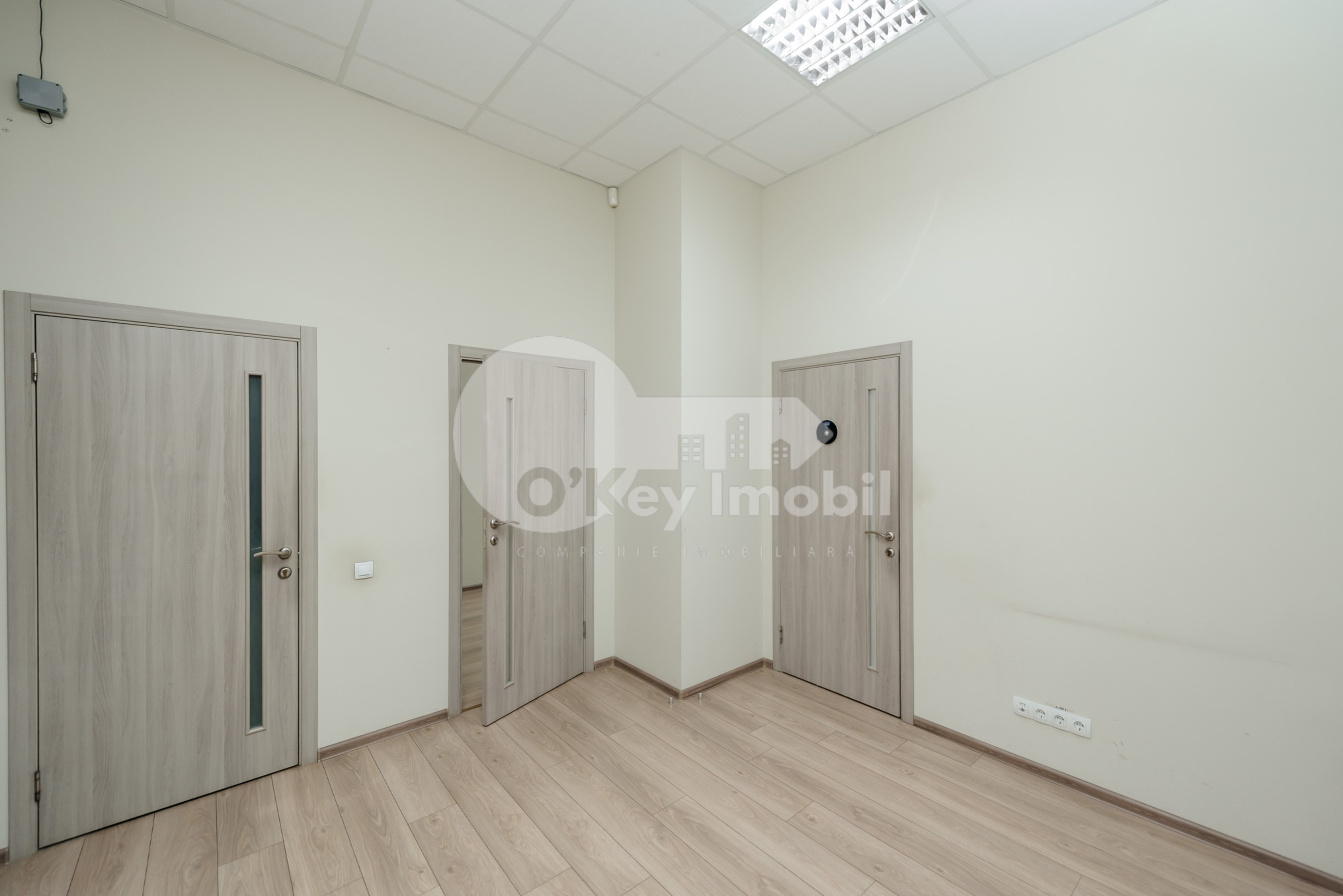 Oficiu, Botanica, NIKOLAI ZELINSKI