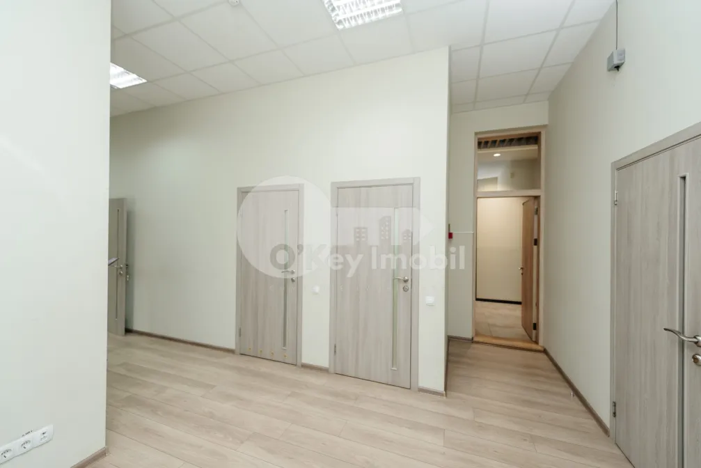 Офис, Ботаника, НИКОЛАЙ ЗЕЛИНСКИЙ