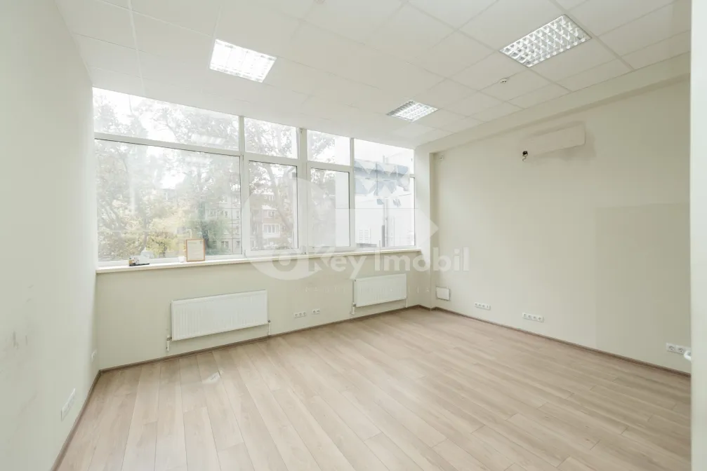 Офис, Ботаника, НИКОЛАЙ ЗЕЛИНСКИЙ