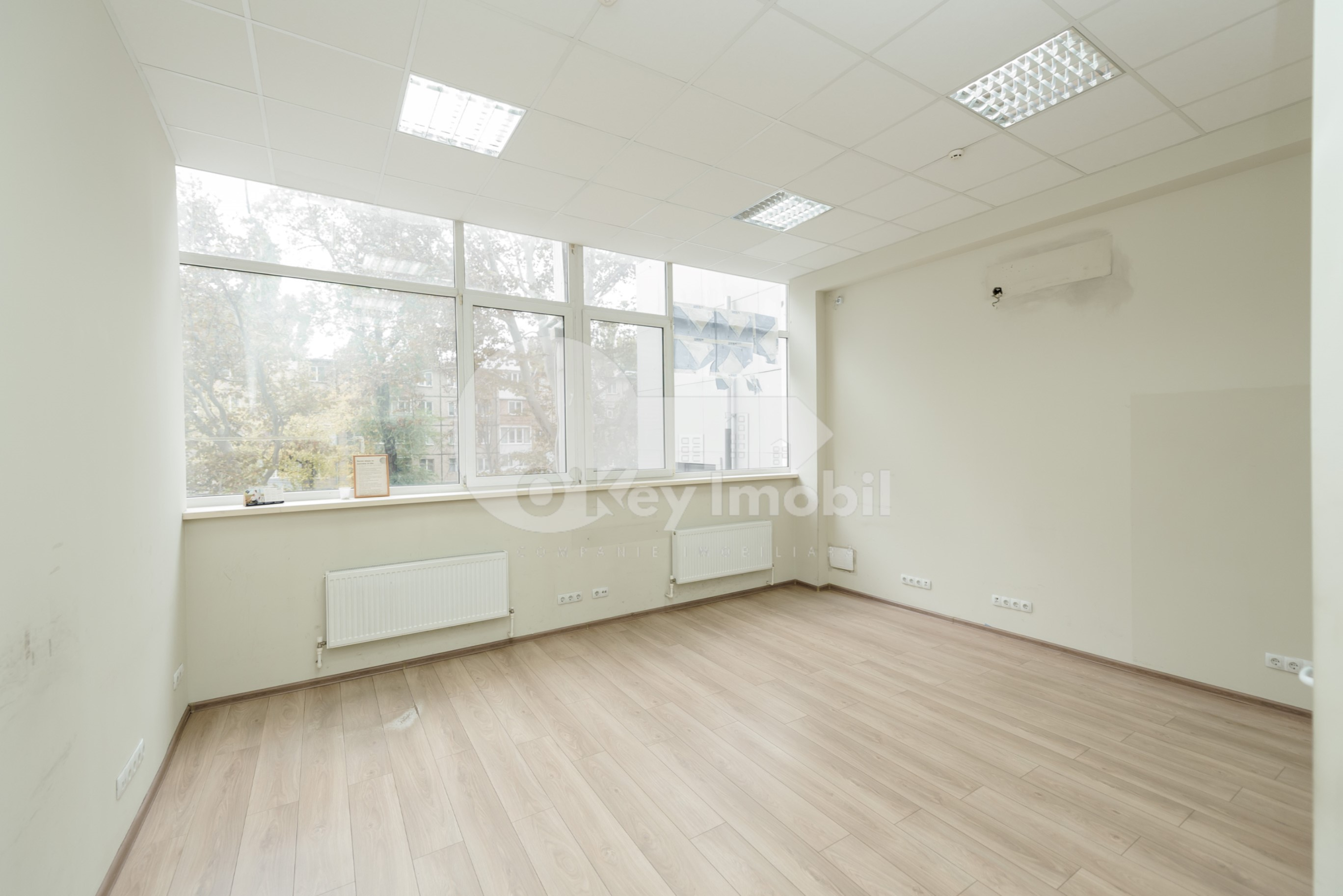 Oficiu, Botanica, NIKOLAI ZELINSKI