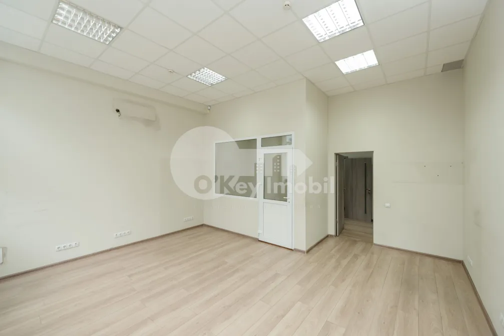 Офис, Ботаника, НИКОЛАЙ ЗЕЛИНСКИЙ