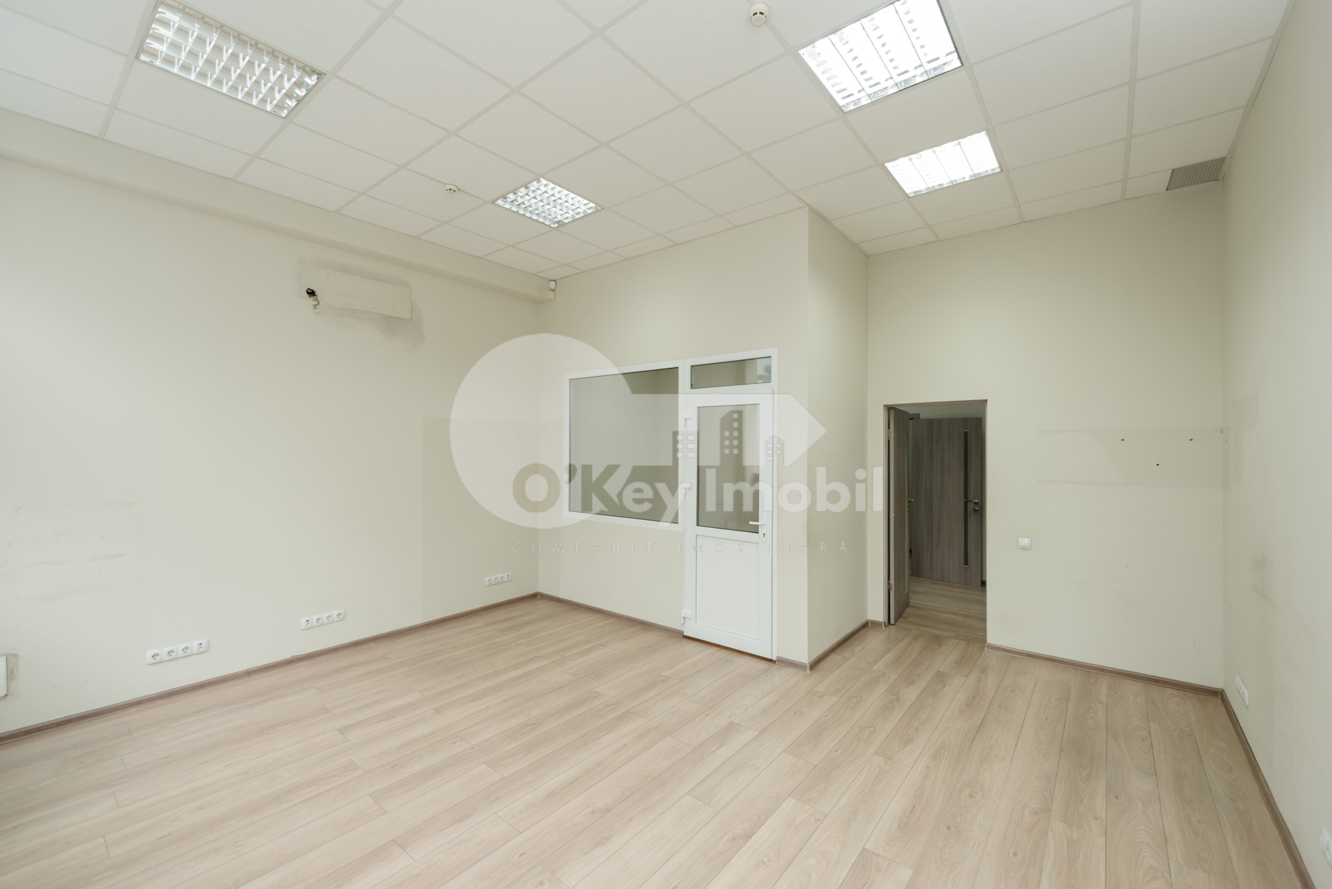 Oficiu, Botanica, NIKOLAI ZELINSKI