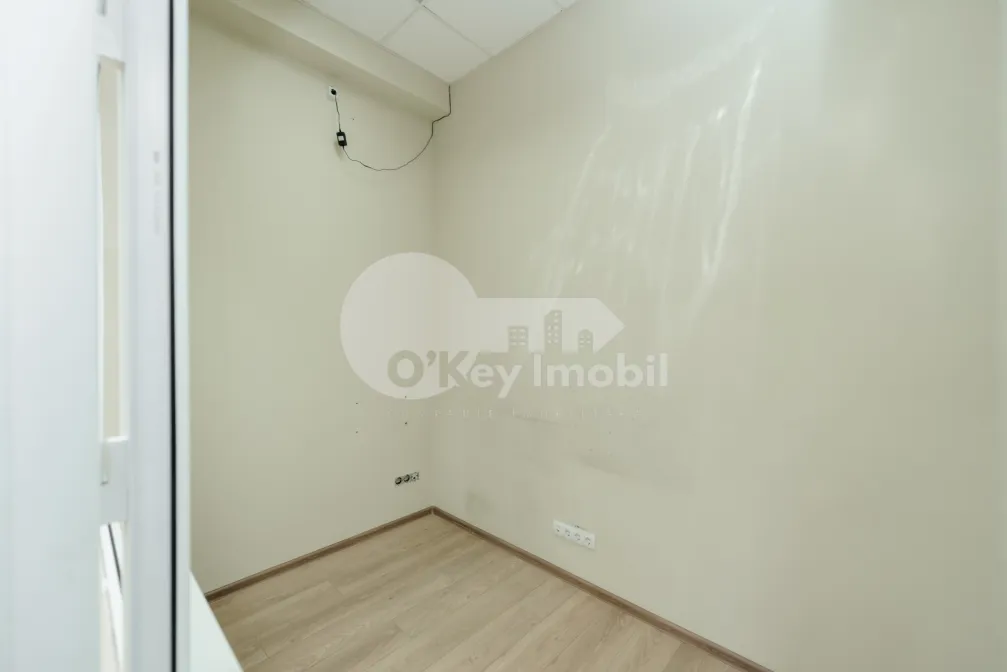 Офис, Ботаника, НИКОЛАЙ ЗЕЛИНСКИЙ