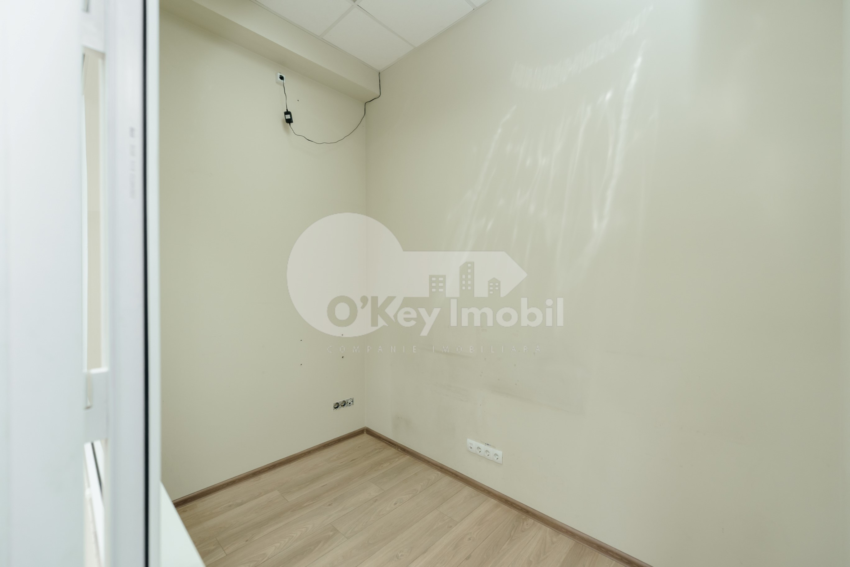 Oficiu, Botanica, NIKOLAI ZELINSKI