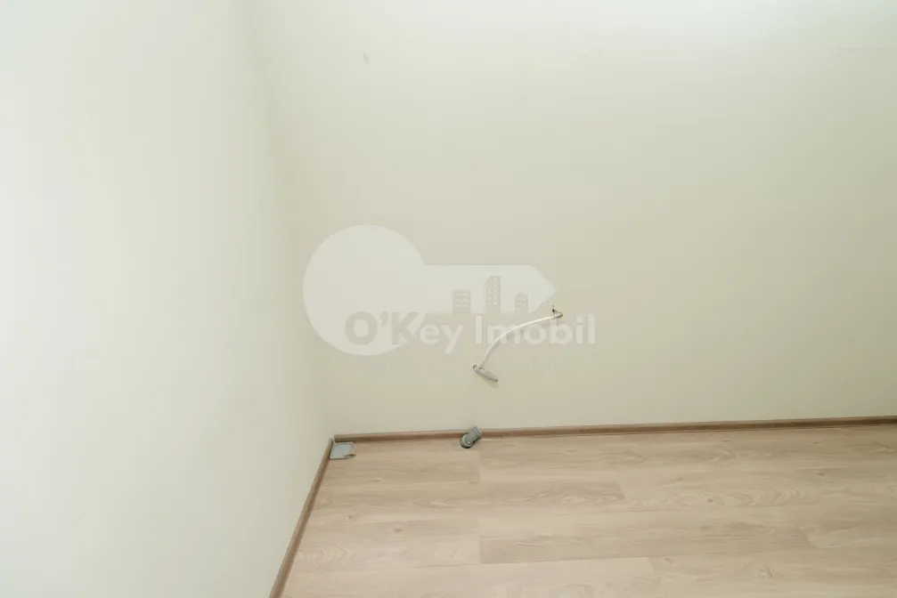 Офис, Ботаника, НИКОЛАЙ ЗЕЛИНСКИЙ