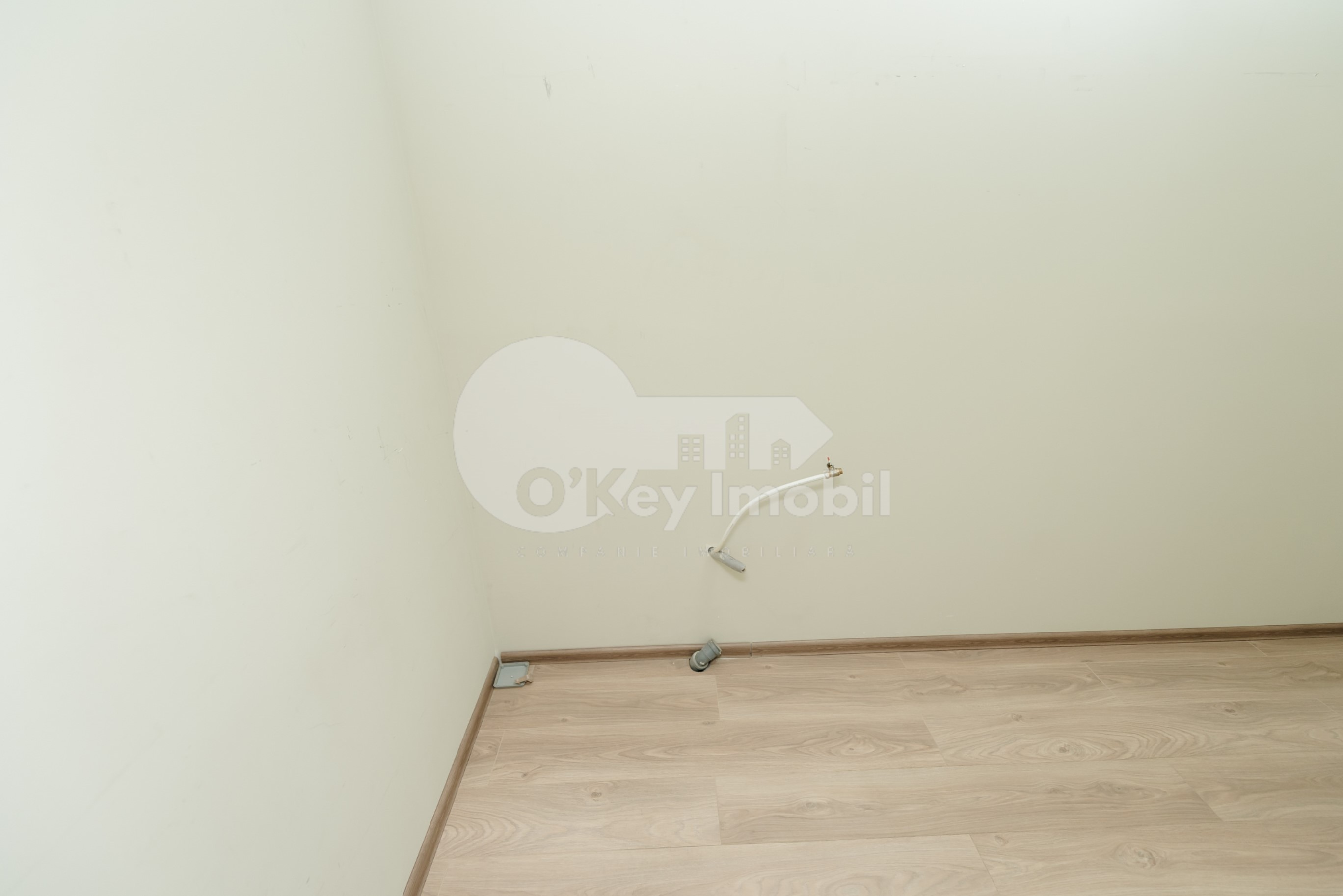 Oficiu, Botanica, NIKOLAI ZELINSKI