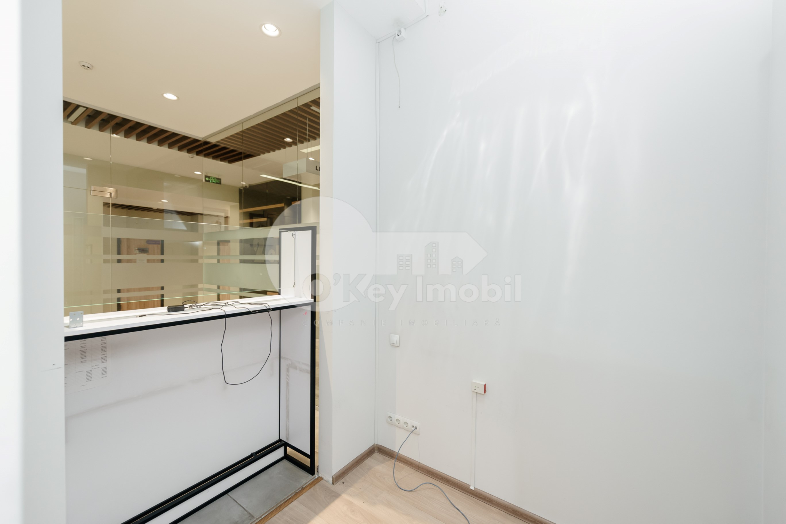 Oficiu, Botanica, NIKOLAI ZELINSKI