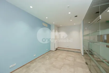 Офис, Ботаника, НИКОЛАЙ ЗЕЛИНСКИЙ