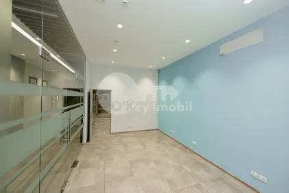 Офис, Ботаника, НИКОЛАЙ ЗЕЛИНСКИЙ