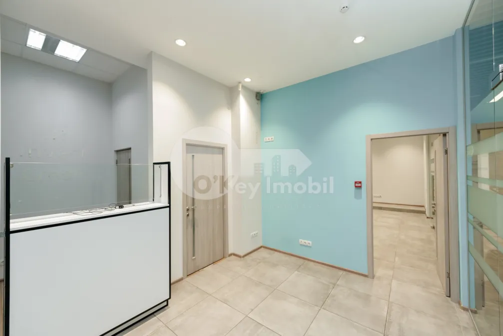 Офис, Ботаника, НИКОЛАЙ ЗЕЛИНСКИЙ