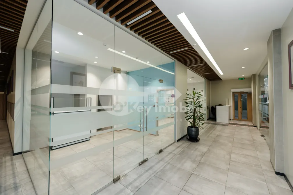 Офис, Ботаника, НИКОЛАЙ ЗЕЛИНСКИЙ