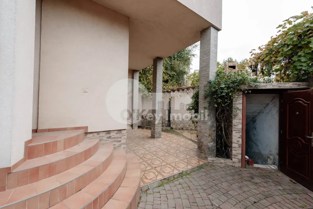 Дом, Ботаника, ПЛАЮЛУЙ