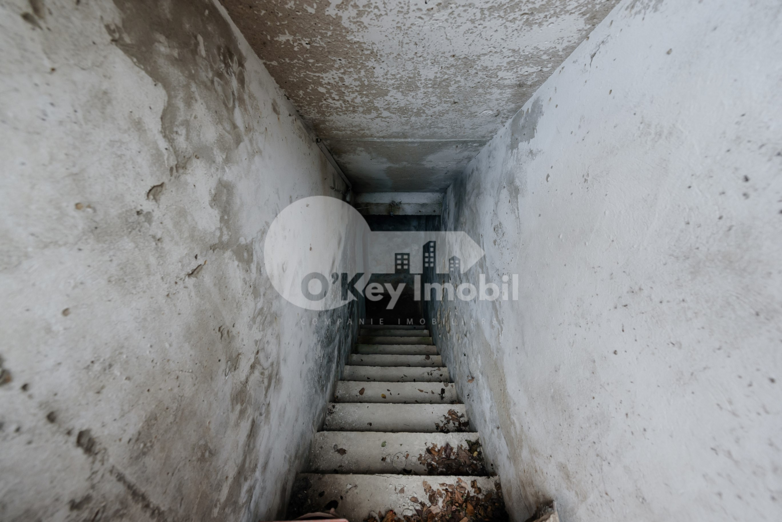 Casă, Botanica, PLAIULUI