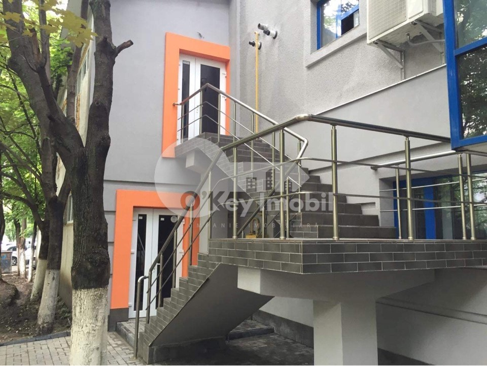 Oficiu, Botanica, CUZA VODĂ