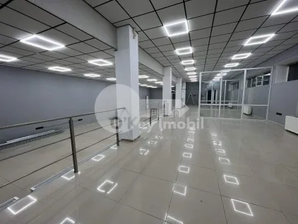 Офис, Ботаника, КУЗА ВОДЭ