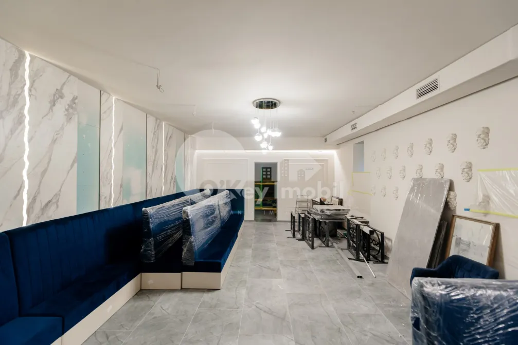 Комм. помещение, Центр, ПУШКИНА