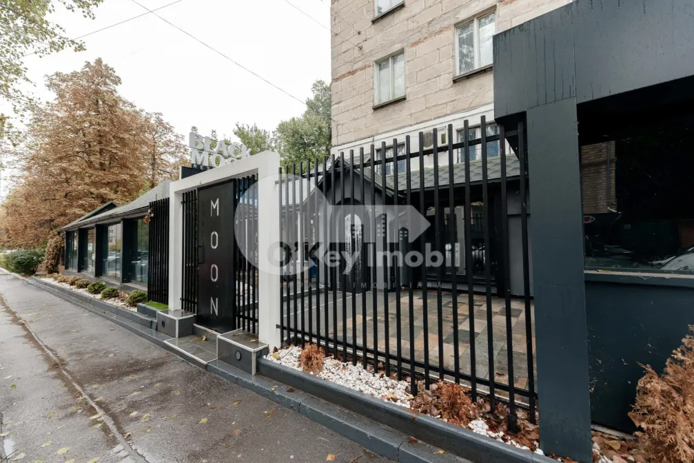 Комм. помещение, Центр, ПУШКИНА