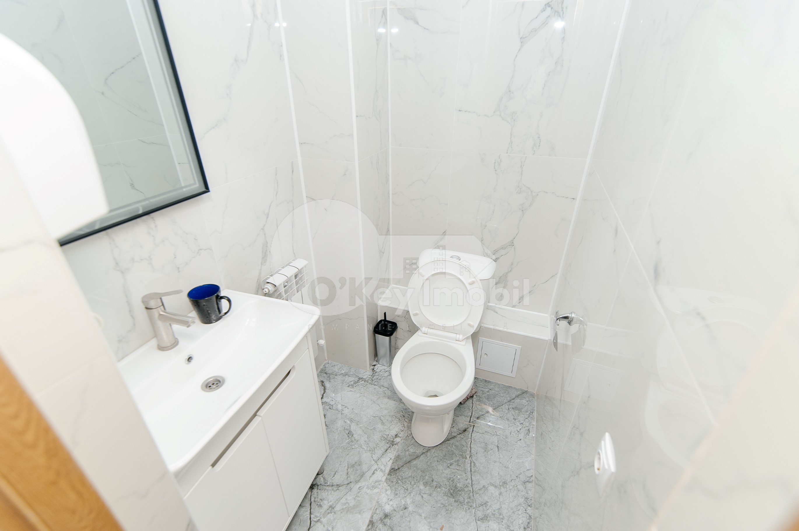 Oficiu, Centru, PETRU MOVILĂ