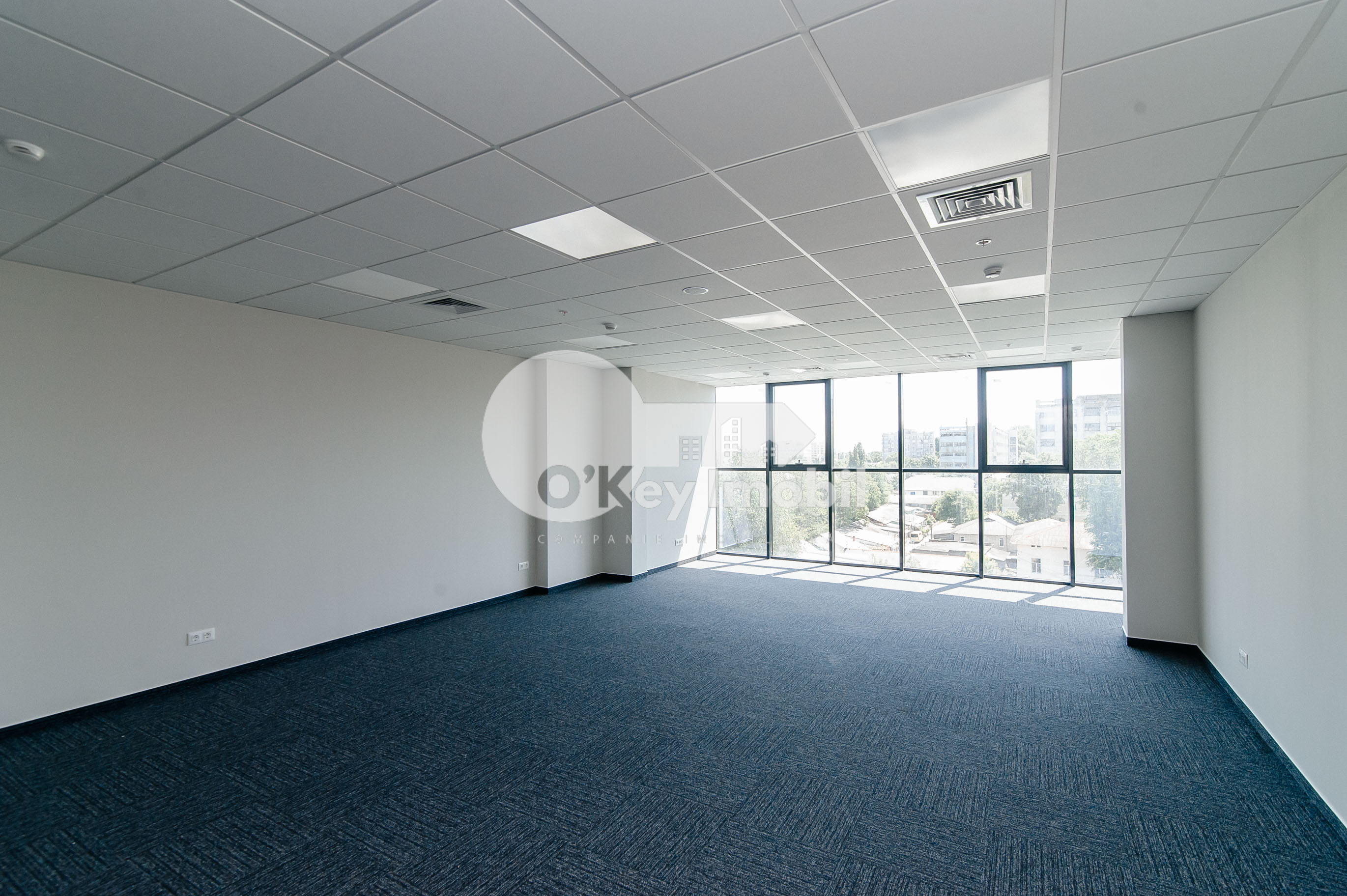 Oficiu, Centru, ȘTEFAN CEL MARE